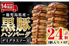 a1003 鹿児島県産黒豚ハンバーグ 計24個 (210g(3個入)×8P) 【AKR Food Company】姶良市 ハンバーグ デミグラスソース デミソース 国産 鹿児島県産 肉 豚 豚肉 かごしま黒豚さつま お弁当 惣菜 総菜 冷凍ハンバーグ おかず 温めるだけ 湯煎 簡単 冷凍 小分け