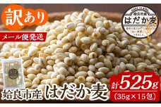a1029 《訳あり》姶良市産はだか麦35g×15包(合計525g)【竹之内穀類産業】姶良市 国産 ご飯 麦ごはん はだか麦 穀物 食物繊維 小分け 常温 常温保存 メール便