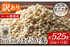 a1029 《訳あり》姶良市産はだか麦35g×15包(合計525g)【竹之内穀類産業】姶良市 国産 ご飯 麦ごはん はだか麦 穀物 食物繊維 小分け 常温 常温保存 メール便