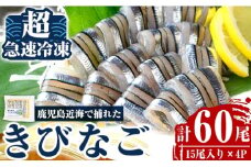 a1041 捕れたてキビナゴのお刺身(15尾入り×4P)【海鮮七海】姶良市 国産 きびなご キビナゴ 刺身 さしみ 刺し身 冷凍