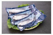 トビウオ甘塩
