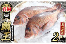 長島町特産「鯛王」(2匹・約2.4kg) 産地直送 新鮮 旨味が抜群の 長島町 特産品 ブランド 真鯛 をまるごと 一匹 楽しめる 刺身 鯛めし 鯛茶漬け 鯛しゃぶ 鯛刺身 鮮魚 冷蔵 【JFA】jfa-22