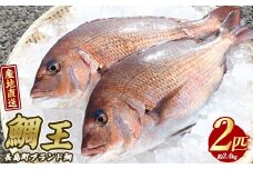 長島町特産「鯛王」(2匹・約2.4kg) 産地直送 新鮮 旨味が抜群の 長島町 特産品 ブランド 真鯛 をまるごと 一匹 楽しめる 刺身 鯛めし 鯛茶漬け 鯛しゃぶ 鯛刺身 鮮魚 冷蔵 【JFA】jfa-22R7