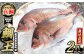 長島町特産の鯛王（２匹セット）