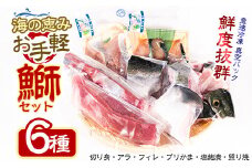 長島海の恵み 鰤セット(6種) 魚セット ぶり 柵 刺身 ブリ 切り身 鰤 フィレ ぶりかま 焼くだけ 簡単調理 おかずセット 【山崎海産】yama-6020