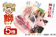 らくらく調理ぶりセット(5種) 魚セット ぶり 柵 刺身 ブリ 切り身 鰤 フィレ 焼くだけ 簡単調理 おかずセット 【山崎海産】yama-6022