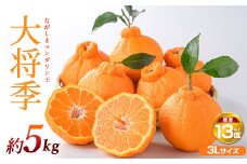 【先行予約】ながしまマンダリン王(大将季) 約5kg【ながしまマンダリングループ】mandarin-1504