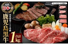 鹿児島黒牛サーロインステーキ2枚・すきやきセット(計1kg)5等級【JA鹿児島いずみ】ja-6011