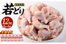 若どり手羽元(計12kg・2kg×6袋)  鶏肉 小分け 冷凍 手羽元 【まつぼっくり】matu-1461R7
