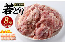 若どりモモ肉(計8kg・2kg×4袋) 鶏肉 小分け 冷凍 鶏肉 もも 鶏もも肉 【まつぼっくり】matu-1456R7