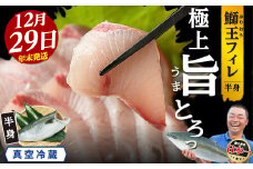 ＜数量限定＞【2025年12月29日発送】『旅サラダ』で紹介ぶりの王様「 鰤王 」 フィレ 半身 (約1.3〜1.5kg・フィレ1枚) 産地直送 新鮮 旨味が抜群の 長島町 特産品 ブランド ぶり 鰤 ブリ 切り身 真空 冷蔵 刺身 ぶりしゃぶ しゃぶしゃぶ 魚 魚介 人気 ランキング 年末年始発送 【JFA】jfa-7f-1229