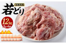 若どりモモ肉(計12kg・2kg×6袋) 鶏肉 小分け 冷凍 鶏肉 もも 鶏もも肉 【まつぼっくり】matu-1496R7