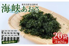 鹿児島県長島町産 乾燥あおさ(400g)【礒永水産】iso-6041