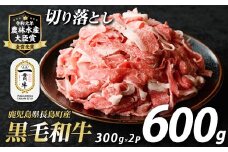 鹿児島県長島町産 黒毛和牛切り落とし (計600g・300g×2P) 牛肉 切り落とし 小分け 黒毛和牛 鹿児島 和牛 切り落とし 牛切り落とし 【宮路ファーム】f-miyaji-1389R7