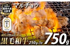 和牛カット済ホルモン（マルチョウ）250g×3パック 計750g ホルモン 牛肉 丸腸 焼肉 ホルモン 牛もつ もつ鍋 f-miyaji-6049