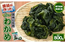 菊栄丸の長島産厳選わかめセット(計800g)【菊栄丸水産】kiku-5291