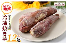 鹿児島県長島町産 恵子農園の冷凍焼きいも(計約1.2kg・約400g×3袋)【レガーレ・ワキタ】waki-1090
