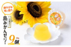 先人からの贈り物 島みかんゼリー(9個)【レガーレ・ワキタ】waki-1087