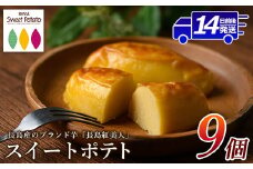 鹿児島県産さつまいも使用 ロイヤルのスイートポテト(9個)  スイートポテト 鹿児島 さつまいも菓子 スイーツ お菓子 おやつ 【ロイヤル】royal-2961