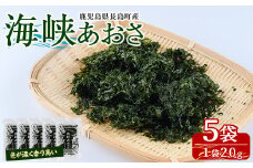 鹿児島県長島町産 乾燥あおさ(100g)【礒永水産】iso-5611
