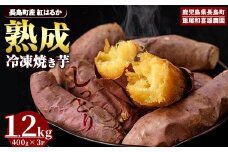 《先行予約》和喜雄さんといつみさんの冷凍焼き芋(約1.2kg) 焼き芋 冷凍 紅はるか 焼き芋 さつまいも 熟成 焼き芋鹿児島 スイーツ お菓子 おやつ 【飯尾和喜雄農園】iio-4851