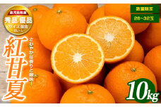 ＜期間・数量限定＞紅甘夏(10kg)国産 鹿児島県産 長島町 フルーツ 柑橘 みかん 紅甘夏 柑橘【鹿児島いずみ農業協同組合】ja-1370R7