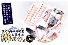 鹿児島県長島町産 鰤づくしBセット(全5種)国産 ブリ ぶり 刺身 刺身用 ブロック 鰤カマ 切り身 アラ 塩焼き セット 丼 おかず おつまみ しゃぶしゃぶ ぶりしゃぶ 急速冷凍【宝徳水産】houtoku-1486