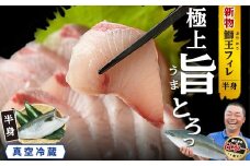  『旅サラダ』で紹介ぶりの王様 新物 「 鰤王 」 フィレ 半身 (約1.0kg・フィレ1枚) 産地直送 新鮮 旨味が抜群の 長島町 特産品 ブランド ぶり 鰤 ブリ 切り身 真空 冷蔵 刺身 ぶりしゃぶ しゃぶしゃぶ 魚 魚介 人気 ランキング 【JFA】jfa-1481-C