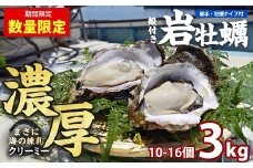 夏に美味い岩がき 約3.0kg 錦盛丸水産 (計約3.0kg・10個×約300g)【錦盛丸水産】kinsei-1298-02R7