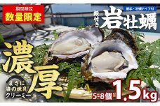 夏に美味い岩がき 約1.5kg 錦盛丸水産 (計約1.5kg・5個×約300g)【錦盛丸水産】kinsei-1298-01R7