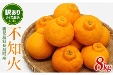 【先行予約】《数量限定・訳あり品》不知火 L~４L サイズ混合 ８kg【山上農園】yamagami-768R7