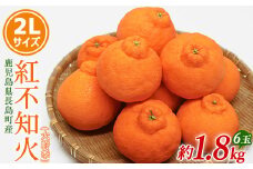 【先行予約】紅不知火（大将季） 2Lサイズ 6玉入り 約1.8kg【山上農園】yamagami-778R7