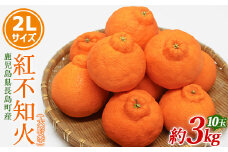 【先行予約】紅不知火（大将季） 2Lサイズ 10玉入り 約3kg【山上農園】yamagami-779R7