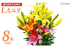 ＜期間限定＞LAユリ ミックスセット(8本)【宮路園芸】miyaji-793