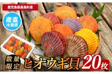 《令和7年11月より順次発送予定》＜期間・数量限定＞長島特産！ヒオウギ貝(20個)【口之福浦ヒオウギ貝出荷グループ】kuchi-861