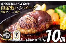 鹿児島県産合挽き肉使用 自家製ハンバーグ計10個(1個150g)【宮路ファーム】f-miyaji-1209