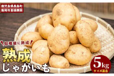 和喜雄さんといつみさんの熟成じゃがいも(計5kg)【飯尾和喜雄農園】iio-1015