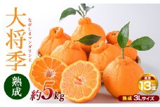 【先行予約】熟成 ながしまマンダリン王(大将季) 約5kg【ながしまマンダリングループ】mandarin-1505