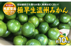 ＼8月31日まで！数量限定／  極早生温州みかん 10kg 秀品・優品 M～2Sサイズ 香りが高く果実は紅く甘い 国産 鹿児島県産 長島町 フルーツ 柑橘 みかん 温州 柑橘【鹿児島いずみ農業協同組合】ja-1367