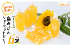 長島町産！島みかんシャーベットゼリー(6個) waki-1083
