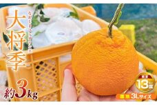 【先行予約】ながしまマンダリン王【露地】(大将季) 約3kg【ながしまマンダリングループ】mandarin-1263-R7