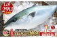長島町特産の鰤王（まるごと１本）