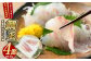 長島町特産の鯛王