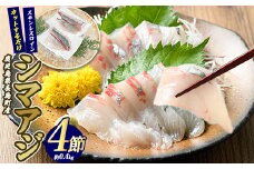 脂がのった 高級魚 シマアジ スキンレスロイン 4節入り(約0.4kg) ＼カットするだけ簡単！新鮮なお刺身が楽しめる／ 新鮮 なまま 長島町 より 産地直送 冷蔵 刺身 鯵 あじ なめろう 海鮮丼 冷蔵 【JFA】jfa-1359