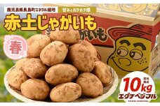 【先行予約】早春長島のミネラル栽培ジャガイモ(10kg)【エグチベジフル株式会社】eguchi-1365