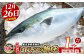 長島町特産の鰤王（まるごと１本）