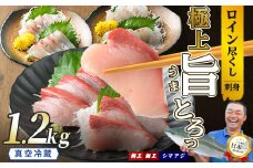 【お刺身用】ロイン3種詰め合わせ 約1.2kg 切って盛るだけ ロイン 鰤王2節 鯛王4節 シマアジ4節 テレビで紹介ぶりの王様「 鰤王 」 届いてすぐに食べれる 長島町 冷蔵 ふるさと納税 【JFA】jfa-1498