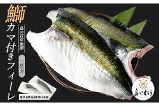 【先行予約】獅子島産 百年漁師の鰤 カマ付きフィーレ２パック (１匹分) 【島のごちそう】gochi-1315