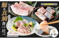 獅子島産 百年漁師の鰤 (約150g×4P) と真鯛 (約100g×6P) お刺身用サク食べ比べ【島のごちそう】gochi-1335