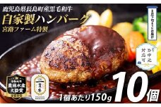 《お中元対応可》 鹿児島県産合挽き肉使用 自家製ハンバーグ計10個(1個150g)国産 鹿児島 ハンバーグ 冷凍 セット 詰め合わせ 惣菜 肉 合い挽き 合挽 豚肉 牛肉 肉 加工品 小分け 個包装 おかず【宮路ファーム】f-miyaji-1209-03D